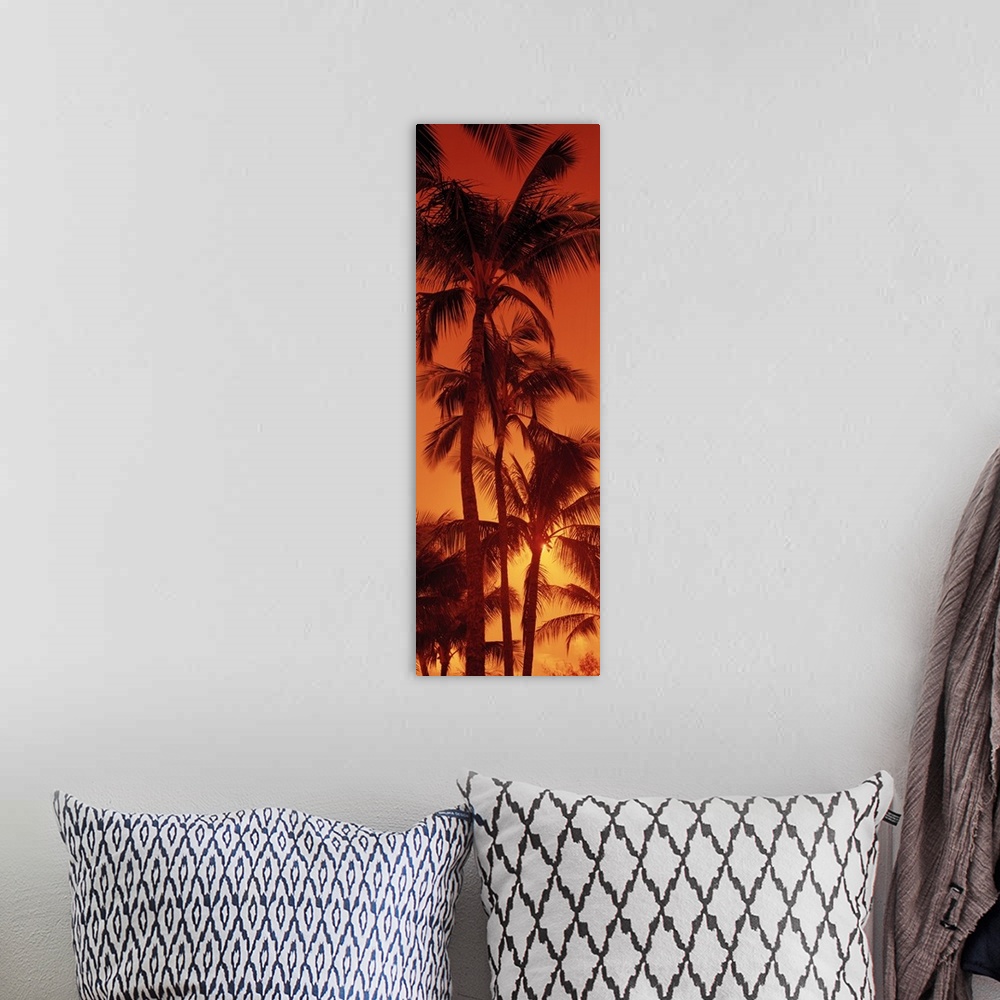 A bohemian room featuring Giant, vertical photograph looking up at a row of tall palm trees against a fiery sunset at Kalap...