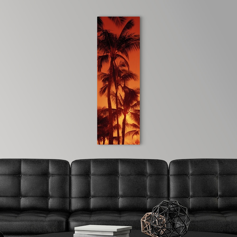 A modern room featuring Giant, vertical photograph looking up at a row of tall palm trees against a fiery sunset at Kalap...