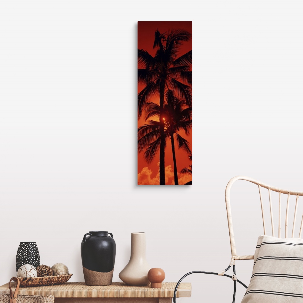A farmhouse room featuring Panoramic photograph shows the tops of a few tropical trees as the rays of the setting sun try an...