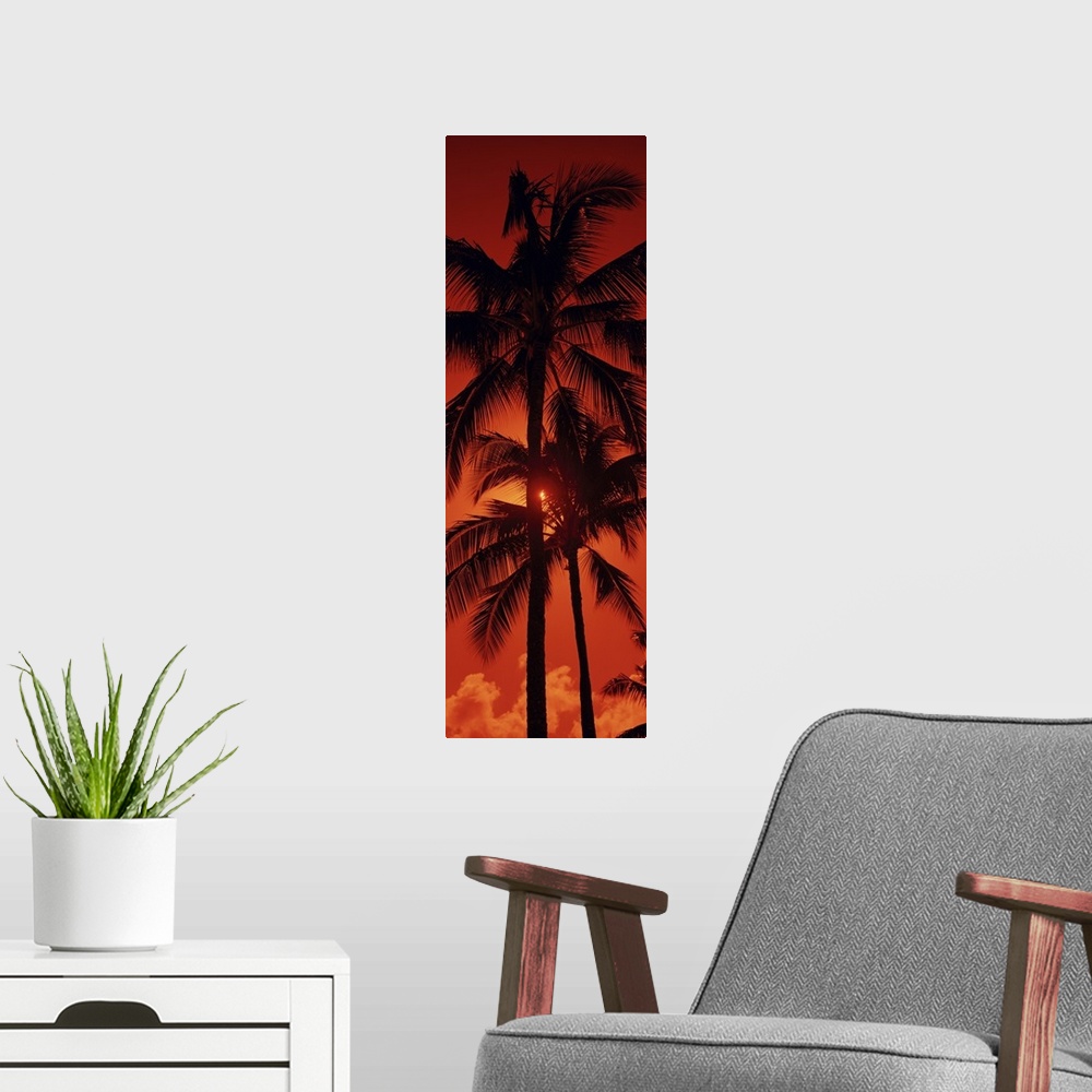 A modern room featuring Panoramic photograph shows the tops of a few tropical trees as the rays of the setting sun try an...