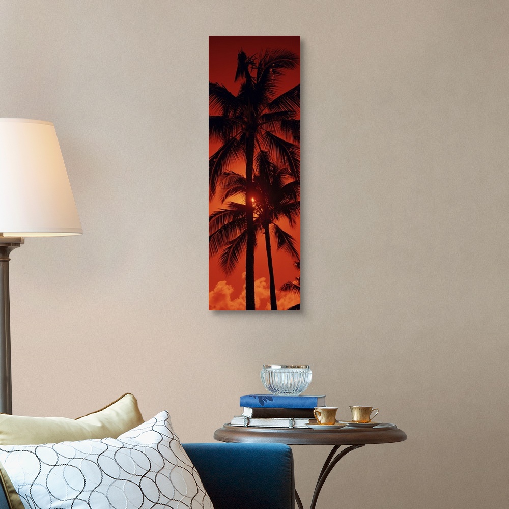A traditional room featuring Panoramic photograph shows the tops of a few tropical trees as the rays of the setting sun try an...