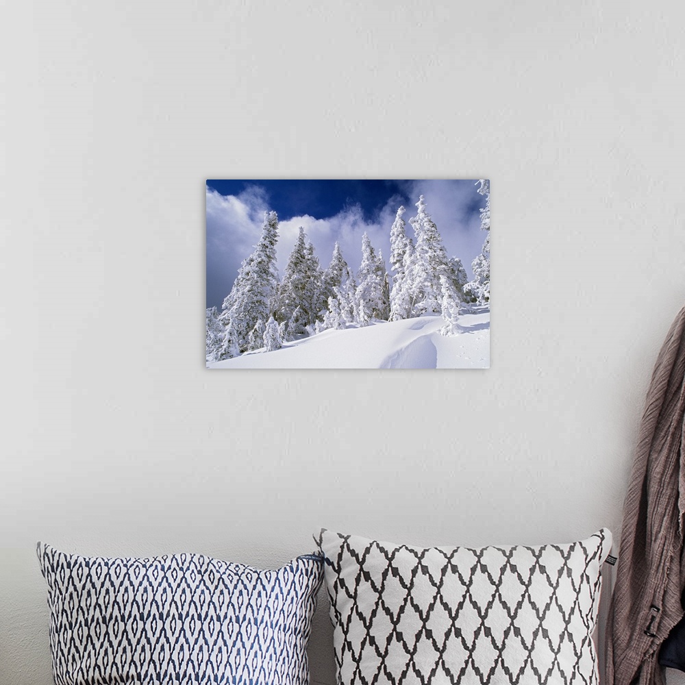 A bohemian room featuring Oversized landscape photograph of snow covered pine trees, taken from the lower part of a snowy h...