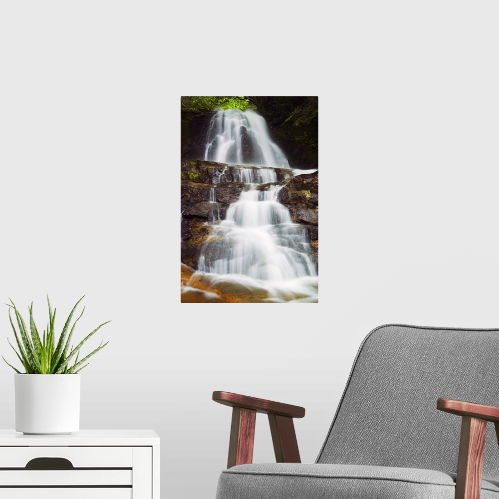 A modern room featuring Vertical photograph on a large canvas of Laurel Creek Falls spilling over a rocky hillside in the...