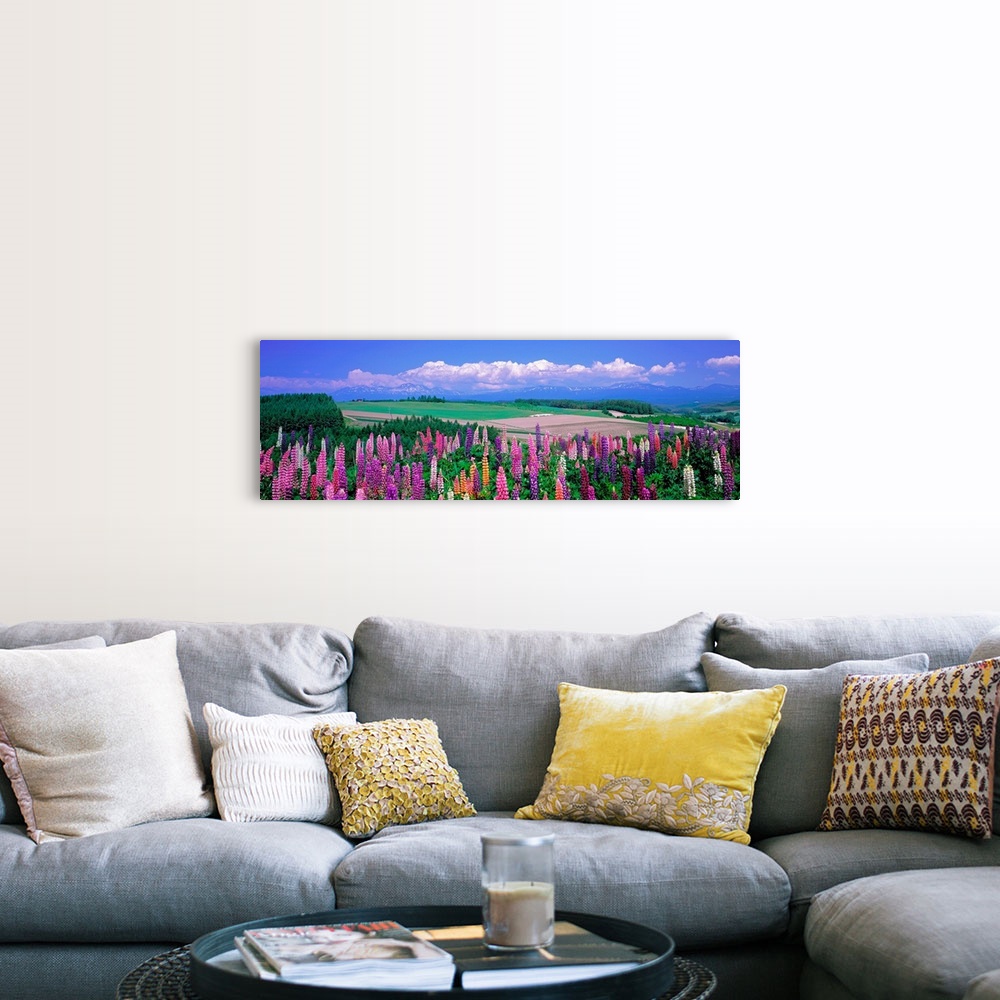 A farmhouse room featuring Panoramic photograph of flower meadow with flatlands in the distance on a cloudy day.