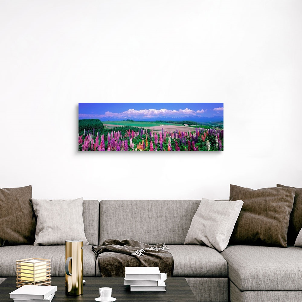 A traditional room featuring Panoramic photograph of flower meadow with flatlands in the distance on a cloudy day.