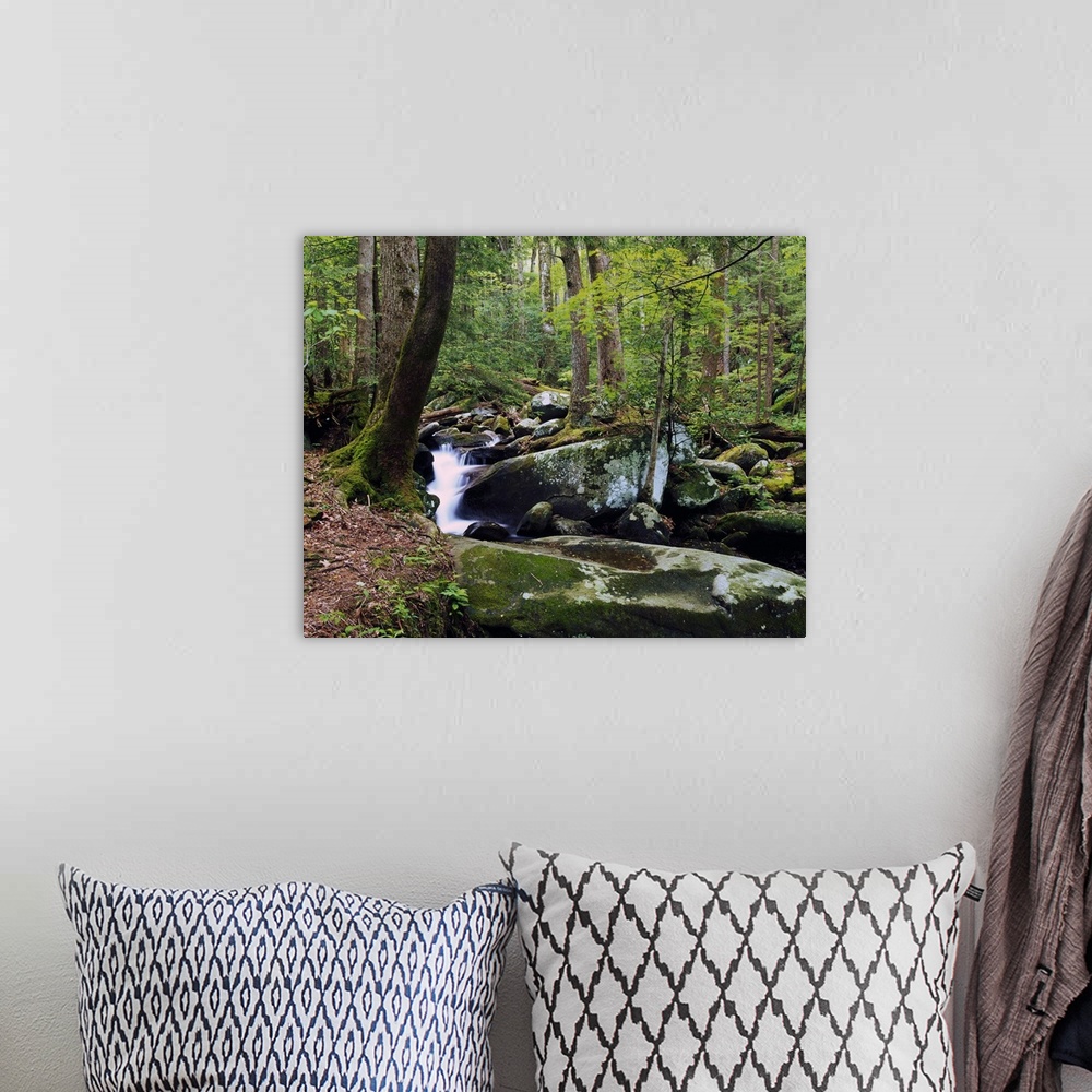 A bohemian room featuring Picture taken of a waterfall surrounded by large and small rocks in a thick green forest.