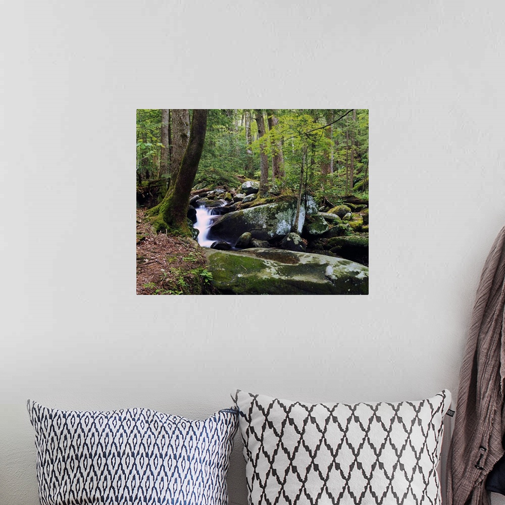 A bohemian room featuring Picture taken of a waterfall surrounded by large and small rocks in a thick green forest.