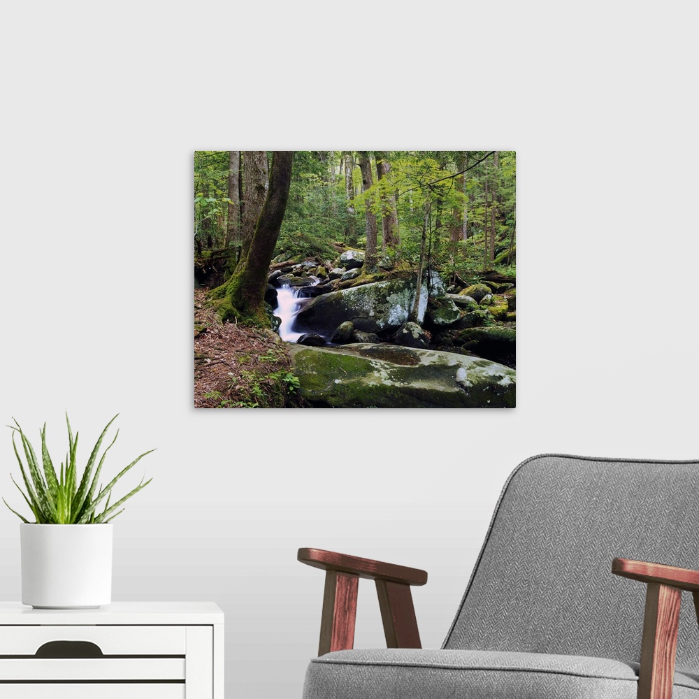 A modern room featuring Picture taken of a waterfall surrounded by large and small rocks in a thick green forest.