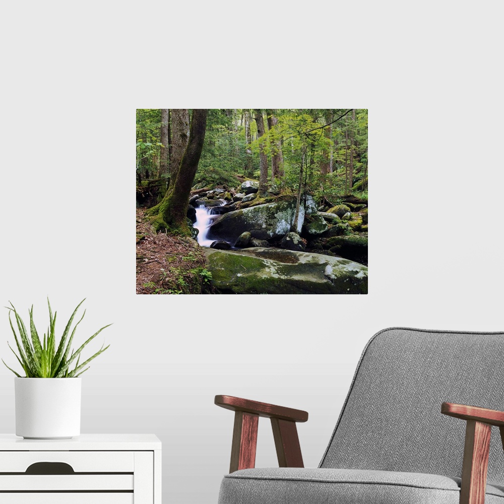 A modern room featuring Picture taken of a waterfall surrounded by large and small rocks in a thick green forest.