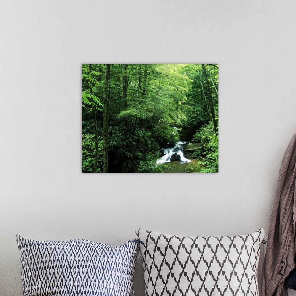 A bohemian room featuring Landscape photograph on a big canvas of water rushing along Wildcat Creek, surrounded by the dens...