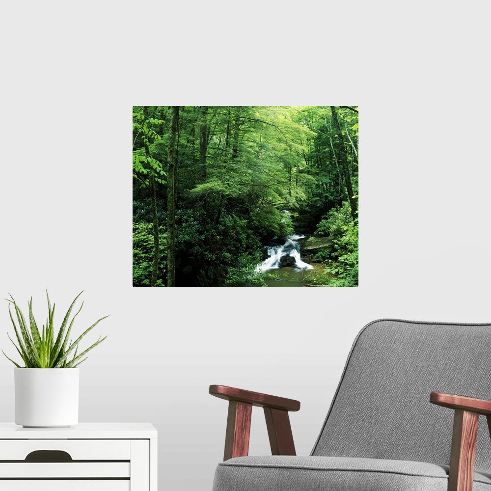 A modern room featuring Landscape photograph on a big canvas of water rushing along Wildcat Creek, surrounded by the dens...