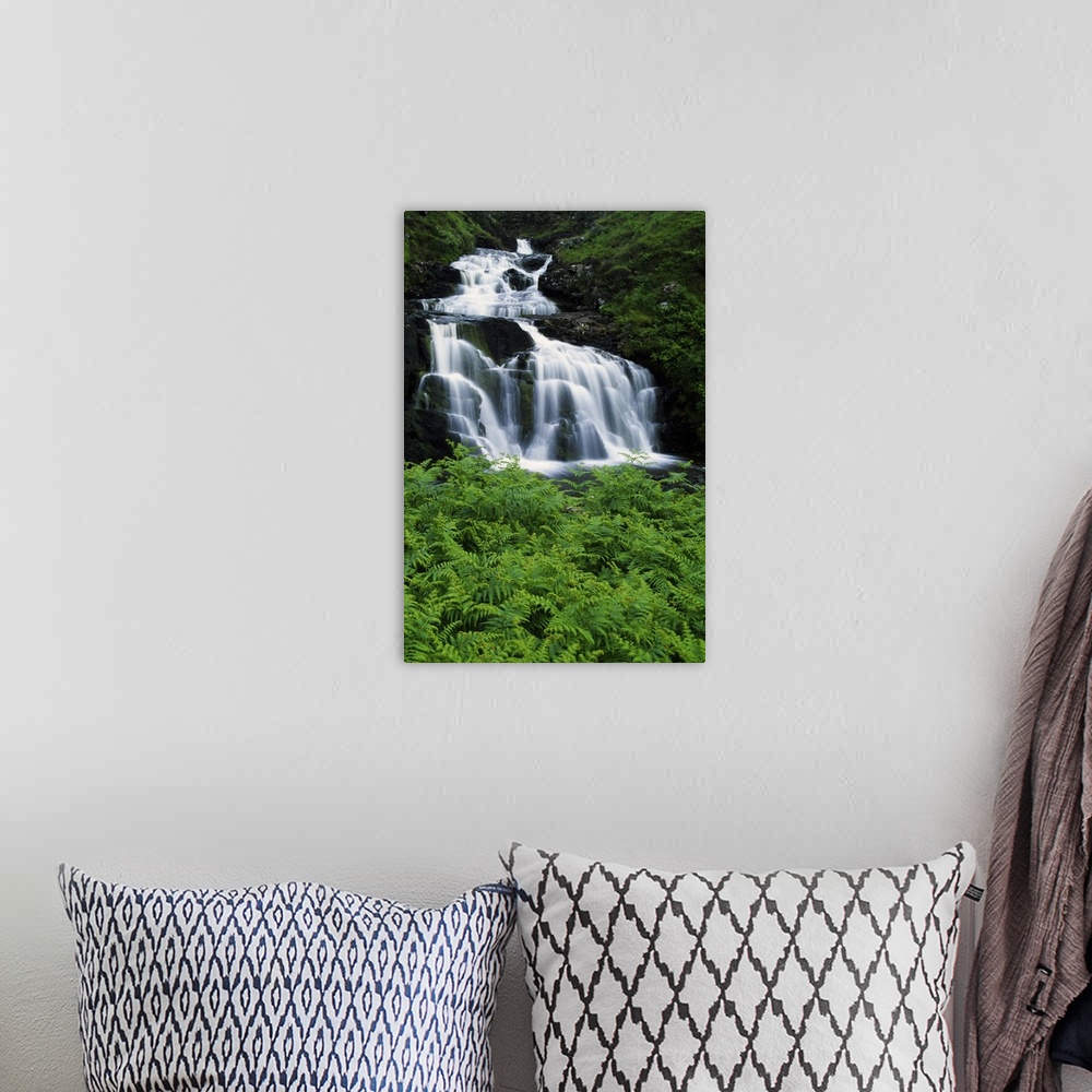 A bohemian room featuring Lush foliage around waterfall, Isle of Mull, Scotland.