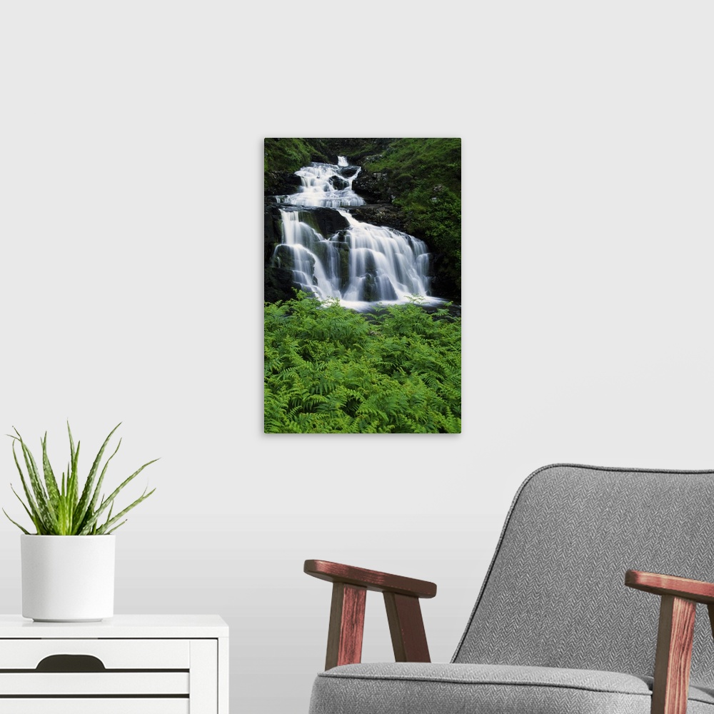 A modern room featuring Lush foliage around waterfall, Isle of Mull, Scotland.