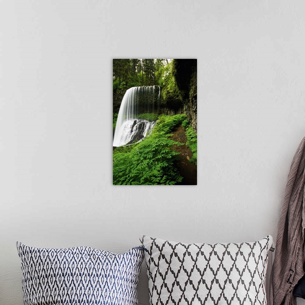 A bohemian room featuring Lush foliage growing around Middle Falls, Silver Falls State Park, Oregon, united states,