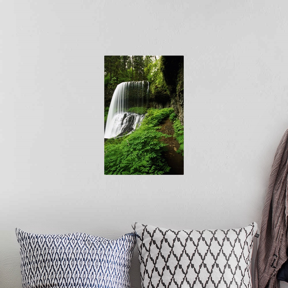A bohemian room featuring Lush foliage growing around Middle Falls, Silver Falls State Park, Oregon, united states,