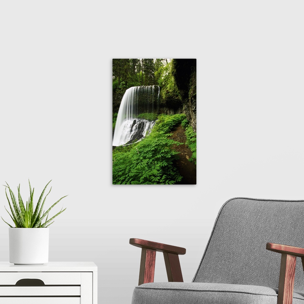 A modern room featuring Lush foliage growing around Middle Falls, Silver Falls State Park, Oregon, united states,