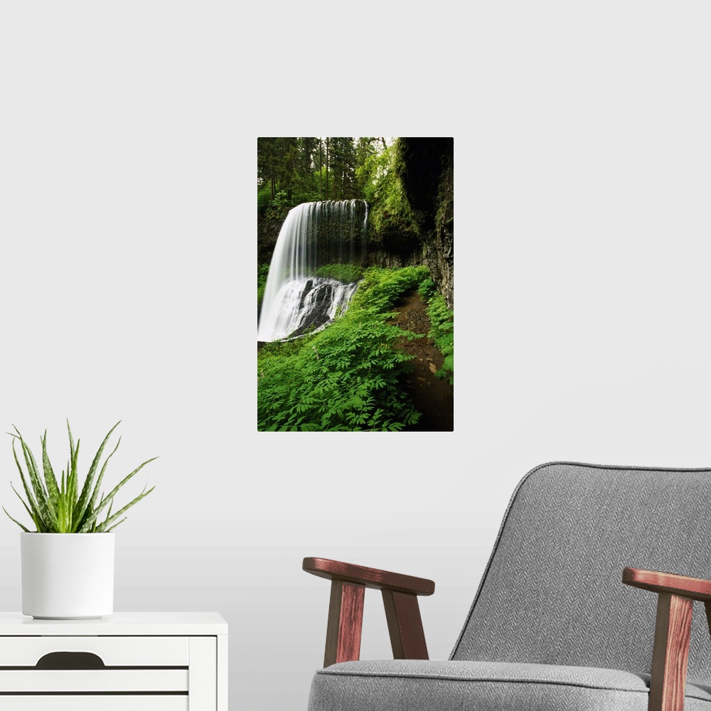 A modern room featuring Lush foliage growing around Middle Falls, Silver Falls State Park, Oregon, united states,