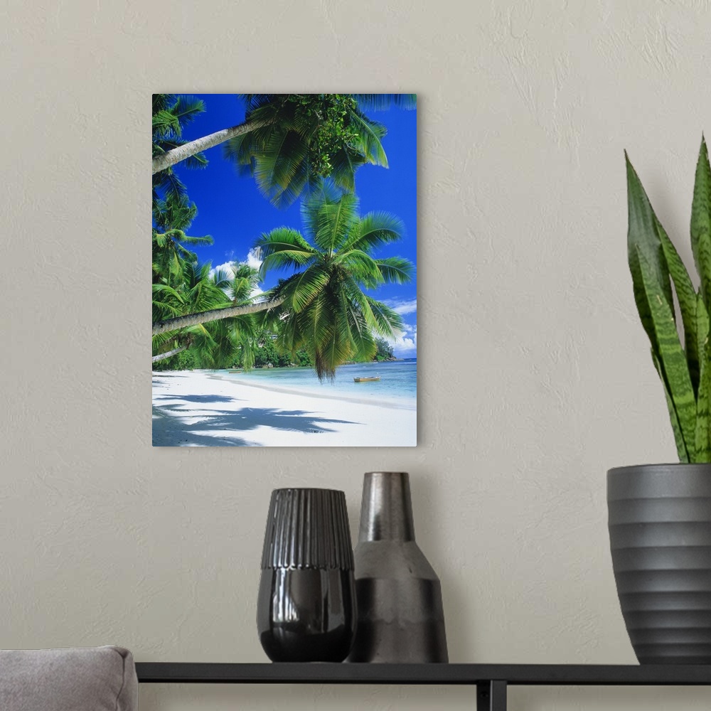 A modern room featuring Photograph of  shoreline covered in palm trees with small boat in the water.