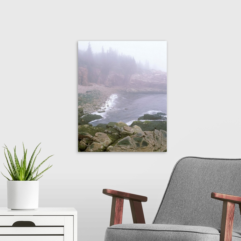 A modern room featuring Maine, Acadia National Park, Atlantic Coast, Beach covered with fog