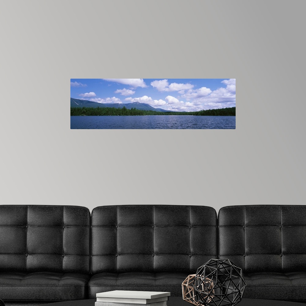 A modern room featuring Maine, Baxter State Park, Tree along the Daicy Pond