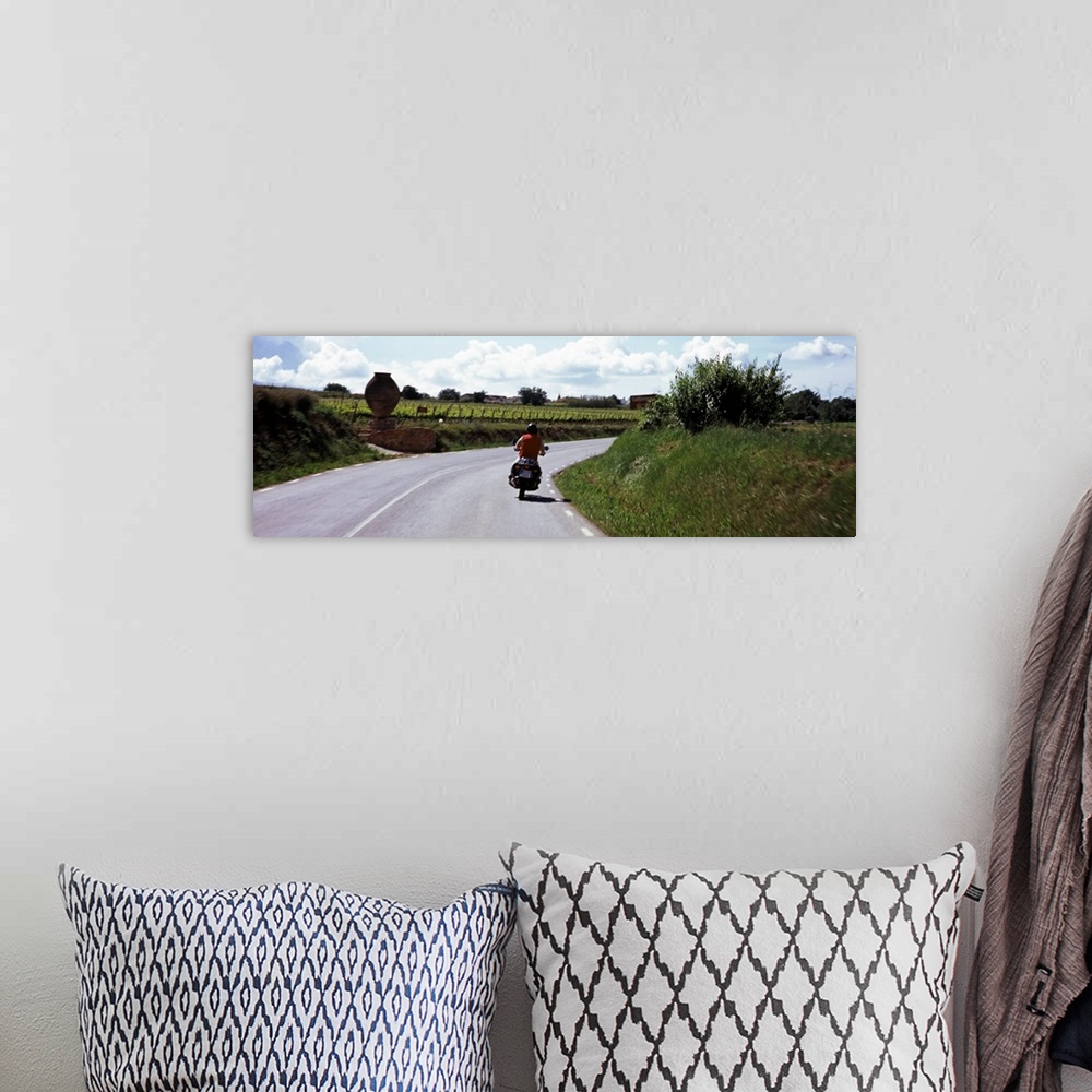 A bohemian room featuring Man riding a motorcycle on a road with vineyards in the background, Penedes, Catalonia, Spain