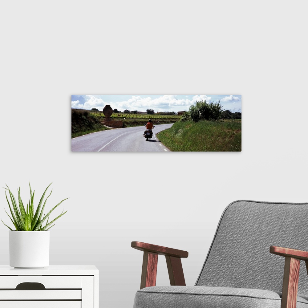 A modern room featuring Man riding a motorcycle on a road with vineyards in the background, Penedes, Catalonia, Spain