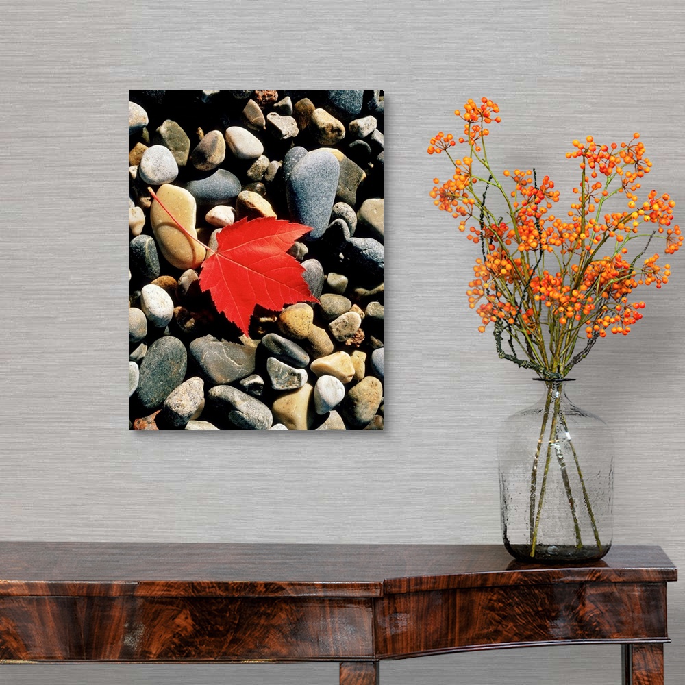 A traditional room featuring Maple Leaf on Pebbles