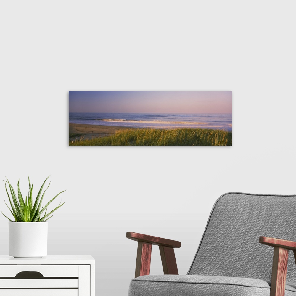 A modern room featuring Wide angle photograph of Marram grass on the beach at Parker River National Wildlife Refuge in Ma...