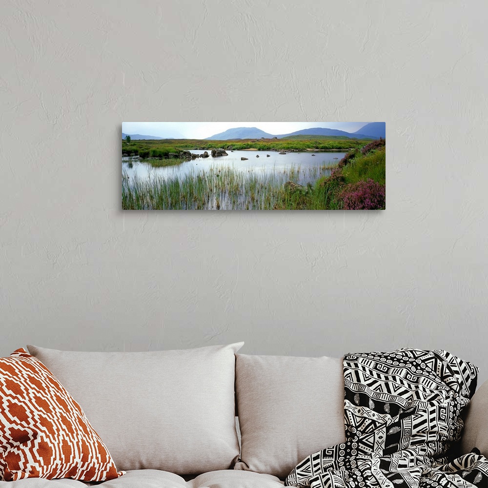A bohemian room featuring Marsh grasses in water, autumn color, Rannoch Moor, Scotland