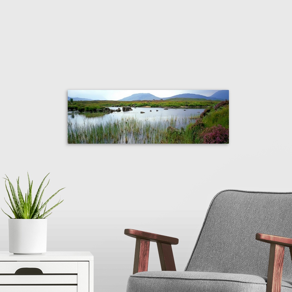 A modern room featuring Marsh grasses in water, autumn color, Rannoch Moor, Scotland