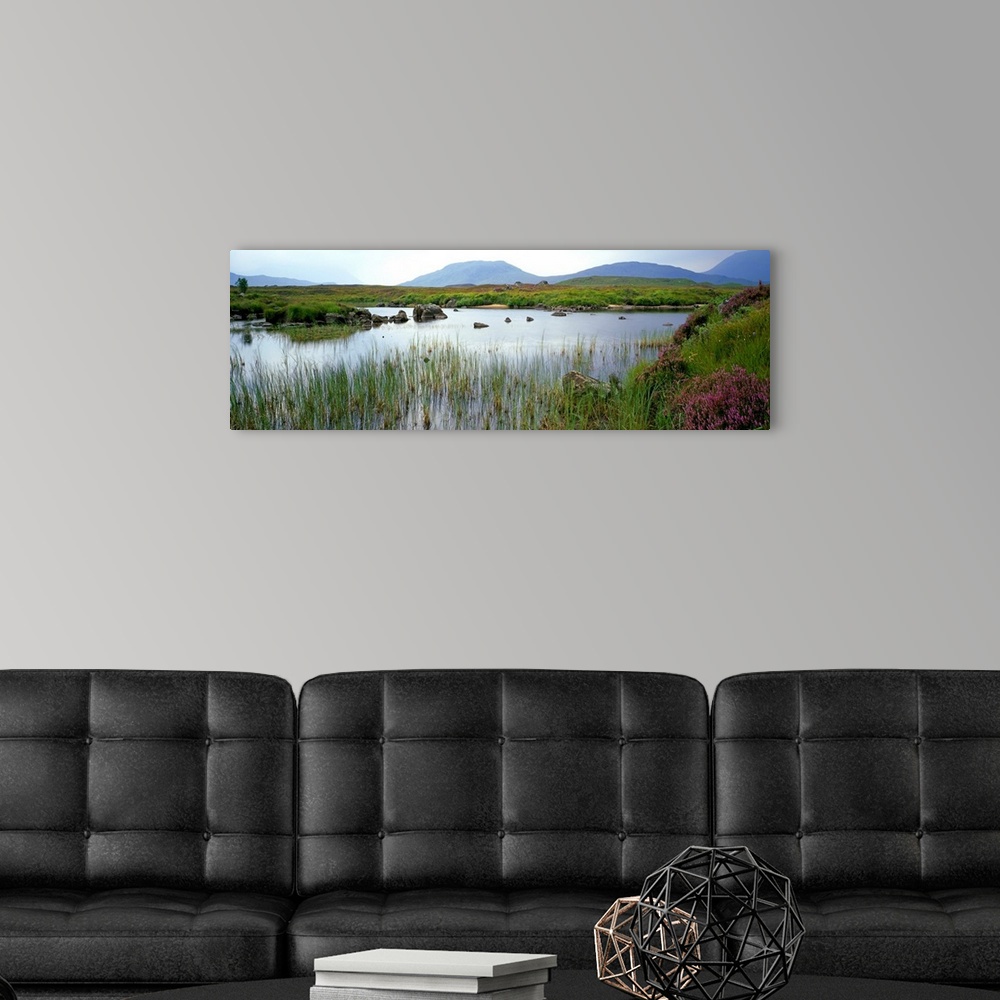 A modern room featuring Marsh grasses in water, autumn color, Rannoch Moor, Scotland