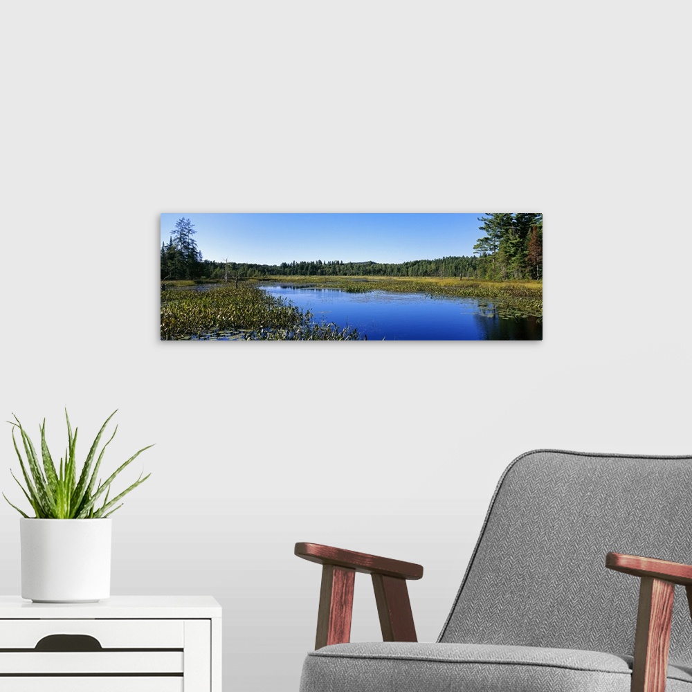 A modern room featuring Marsh in a forest, Adirondack State Park, Adirondack Mountains, New York State