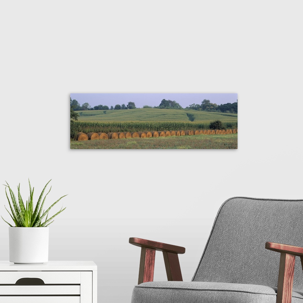A modern room featuring Maryland, Baltimore, Hay bales near a corn field