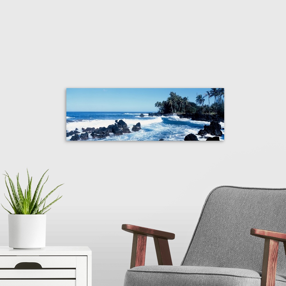 A modern room featuring Panoramic photograph of rocky oceanfront with palm trees and waves crashing in.