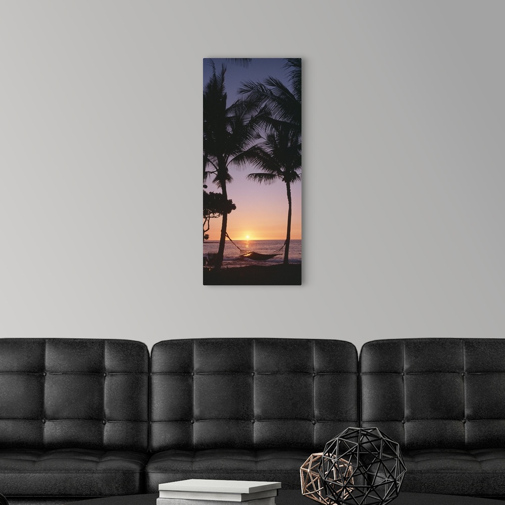 A modern room featuring Vertical panoramic of two tall palm trees with hammock on beach at sunset.