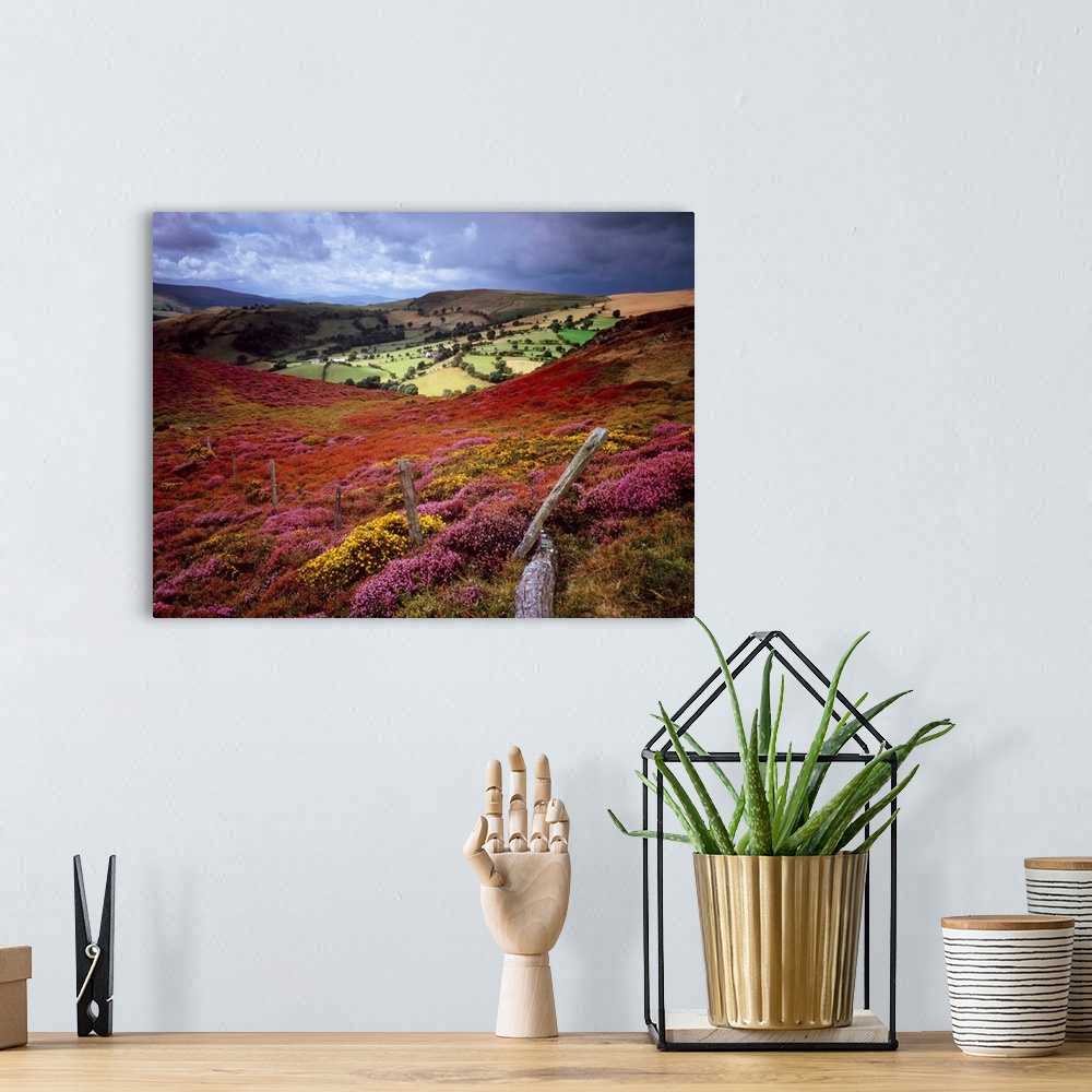 A bohemian room featuring Photograph of rolling hills covered in colorful flower meadows and trees under a dark cloudy sky.