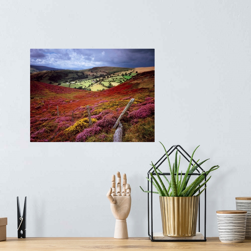 A bohemian room featuring Photograph of rolling hills covered in colorful flower meadows and trees under a dark cloudy sky.