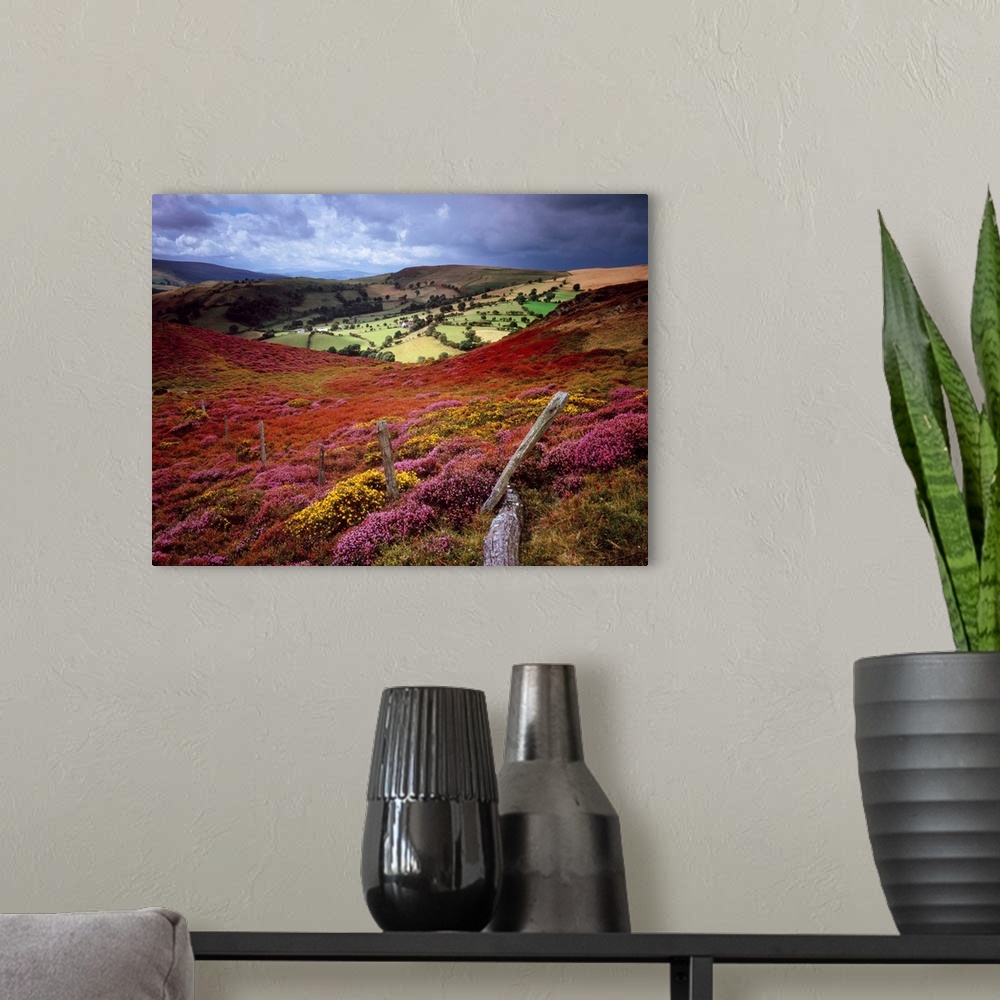 A modern room featuring Photograph of rolling hills covered in colorful flower meadows and trees under a dark cloudy sky.