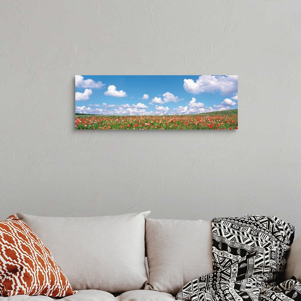 A bohemian room featuring Meadow flowers with cloudy sky in background