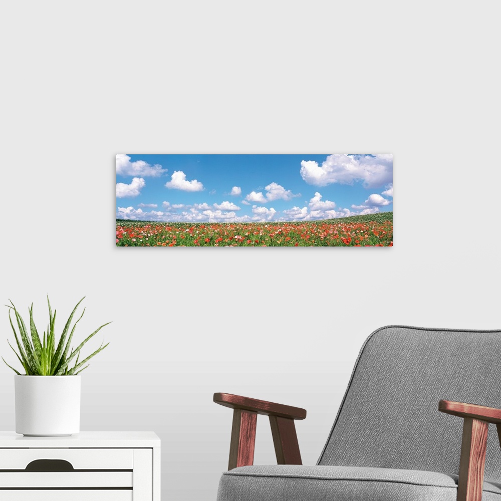 A modern room featuring Meadow flowers with cloudy sky in background