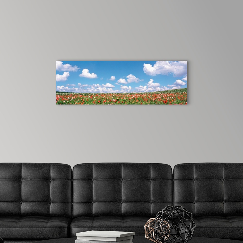 A modern room featuring Meadow flowers with cloudy sky in background
