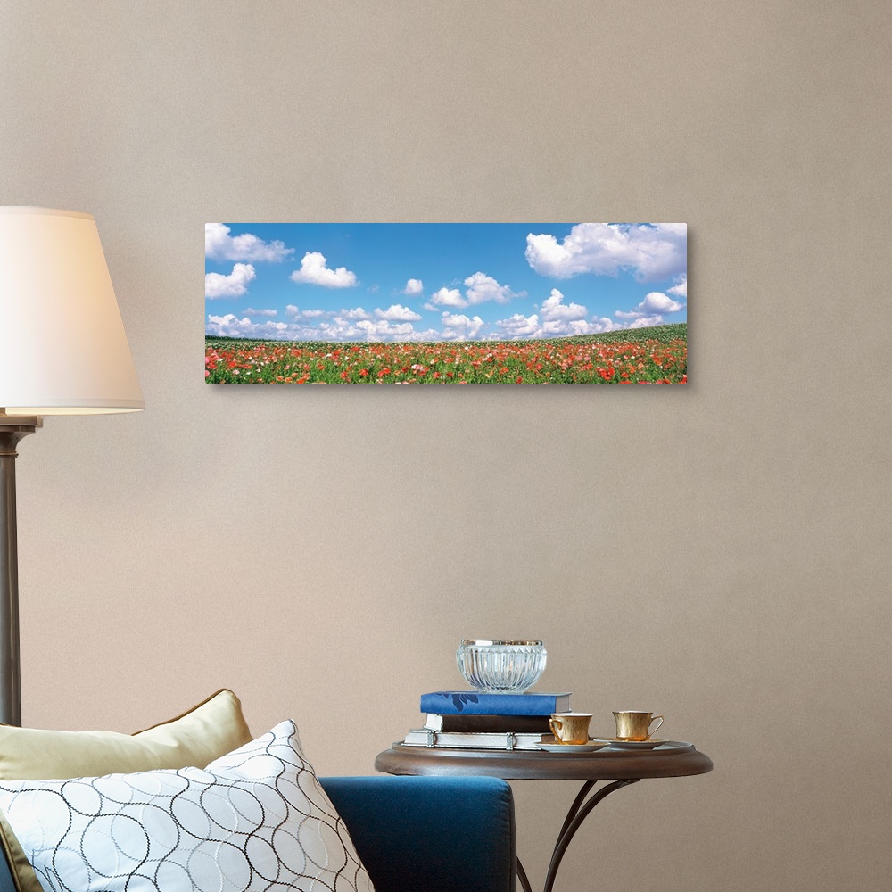 A traditional room featuring Meadow flowers with cloudy sky in background