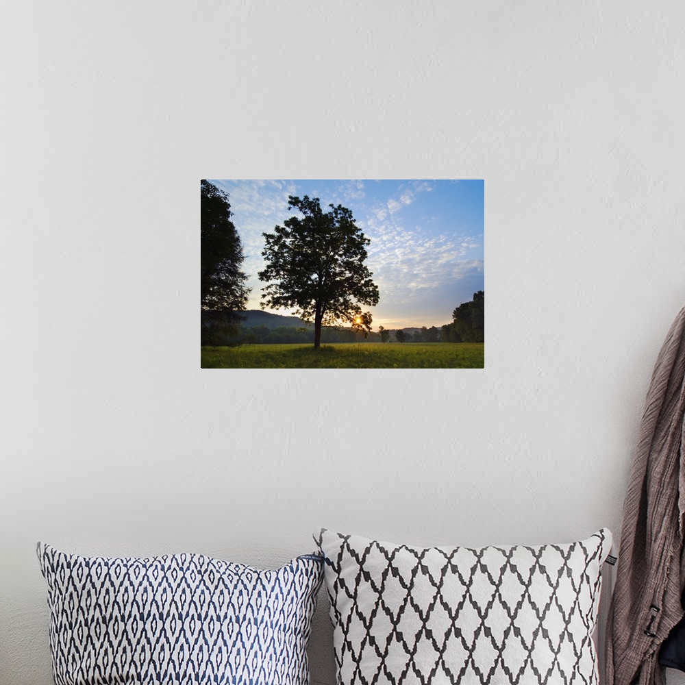 A bohemian room featuring Landscape photograph on a big wall hanging of the silhouette of a tree in the foreground of an op...