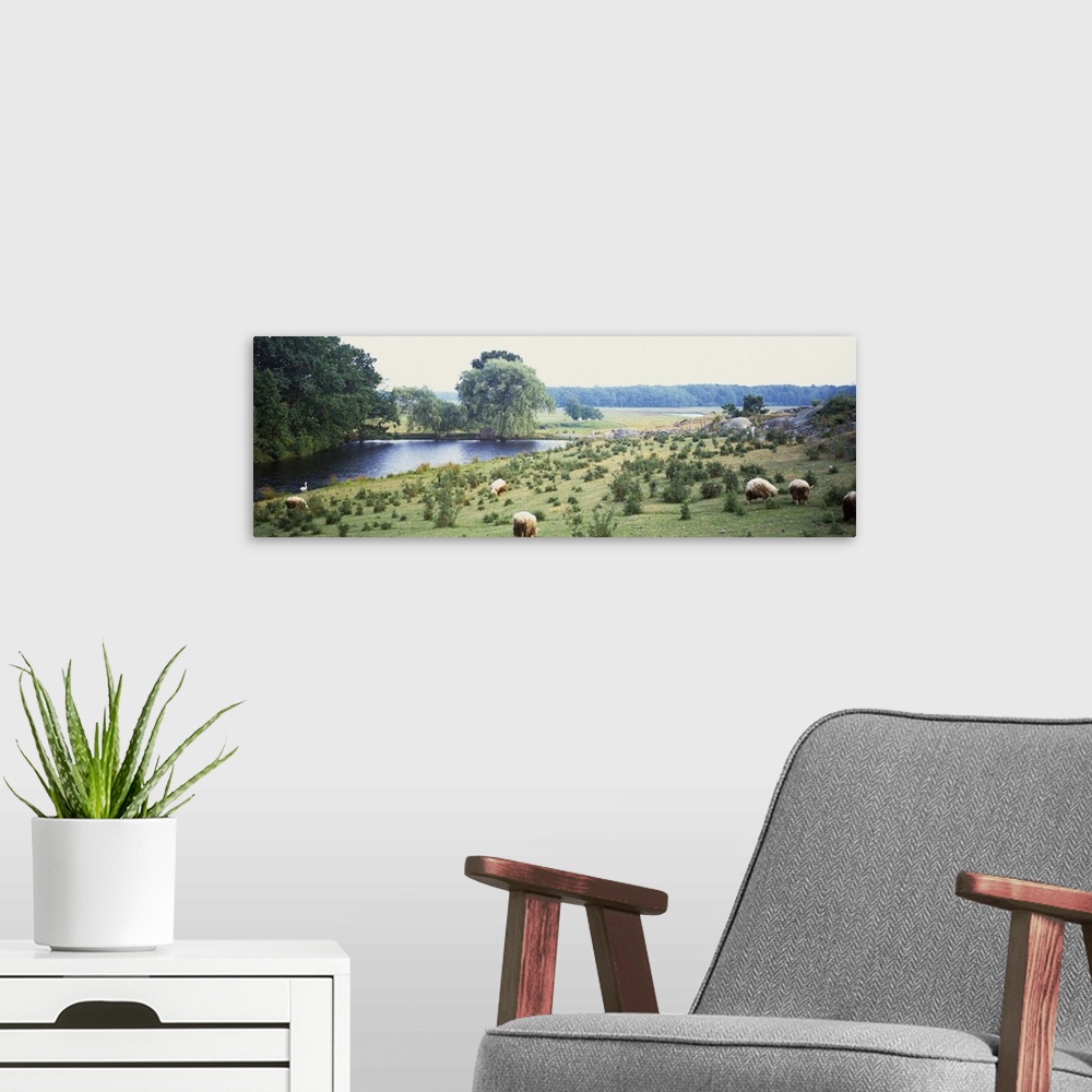 A modern room featuring Meadow With Sheep Kennebunkport ME