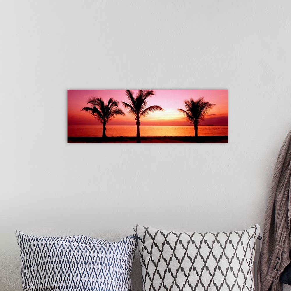 A bohemian room featuring This panoramic canvas shows three palm trees silhouetted by the setting sun on the beach where th...