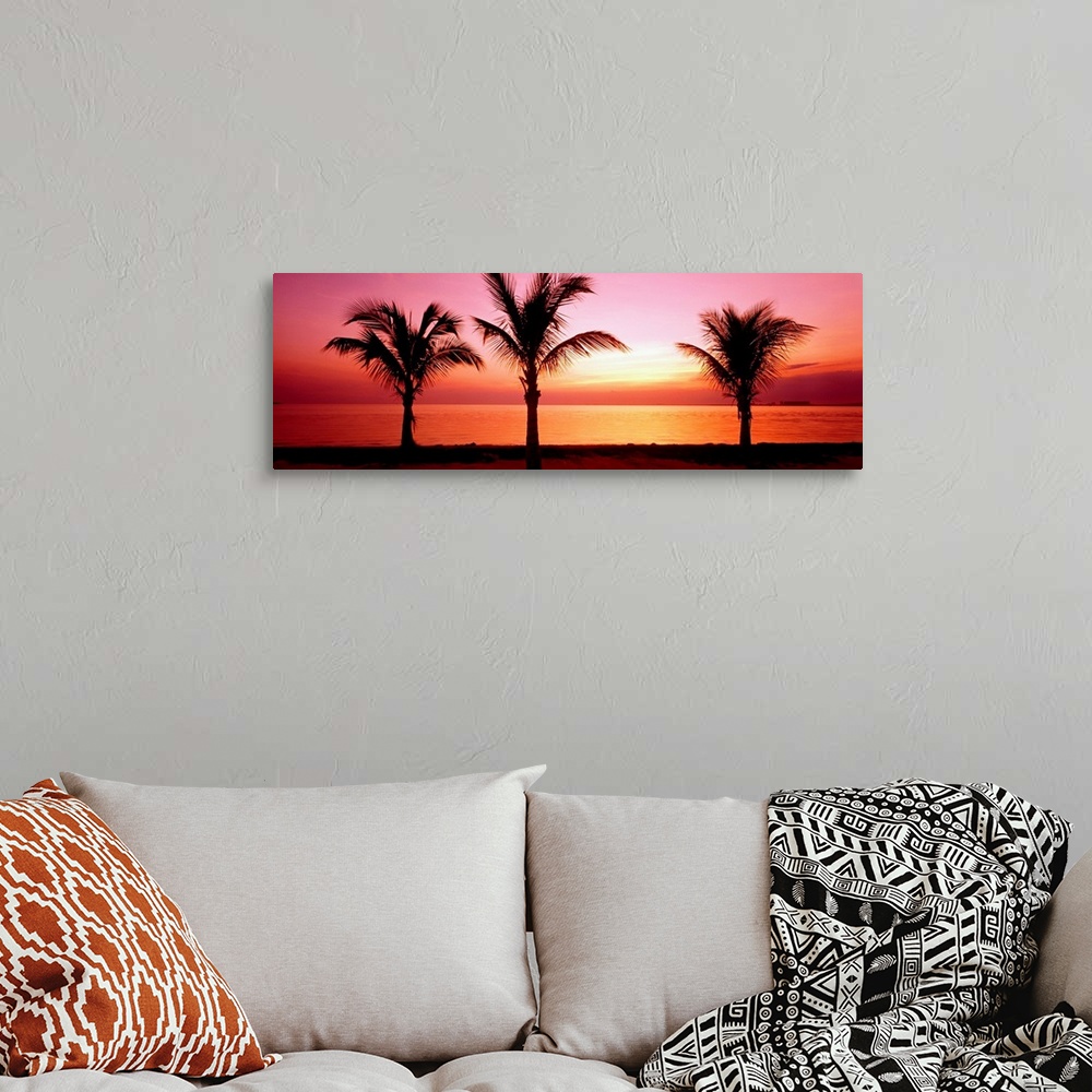 A bohemian room featuring This panoramic canvas shows three palm trees silhouetted by the setting sun on the beach where th...