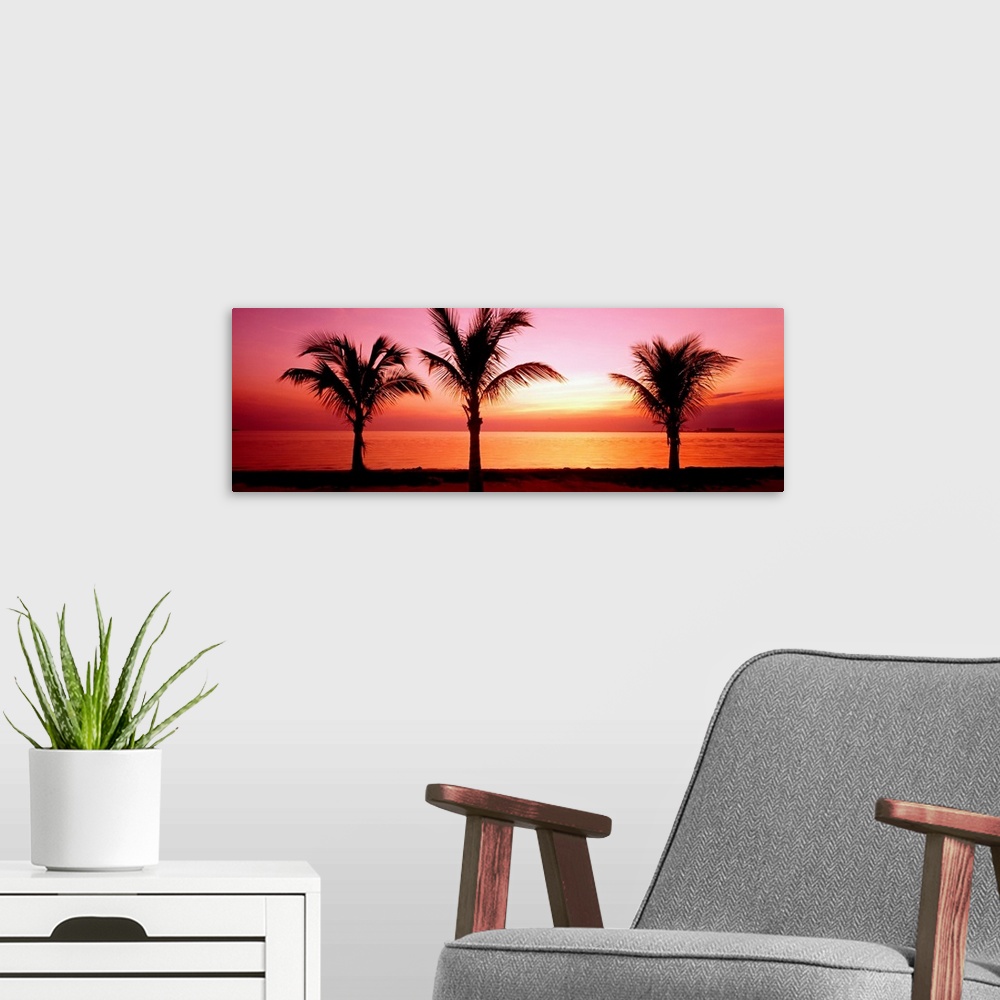 A modern room featuring This panoramic canvas shows three palm trees silhouetted by the setting sun on the beach where th...
