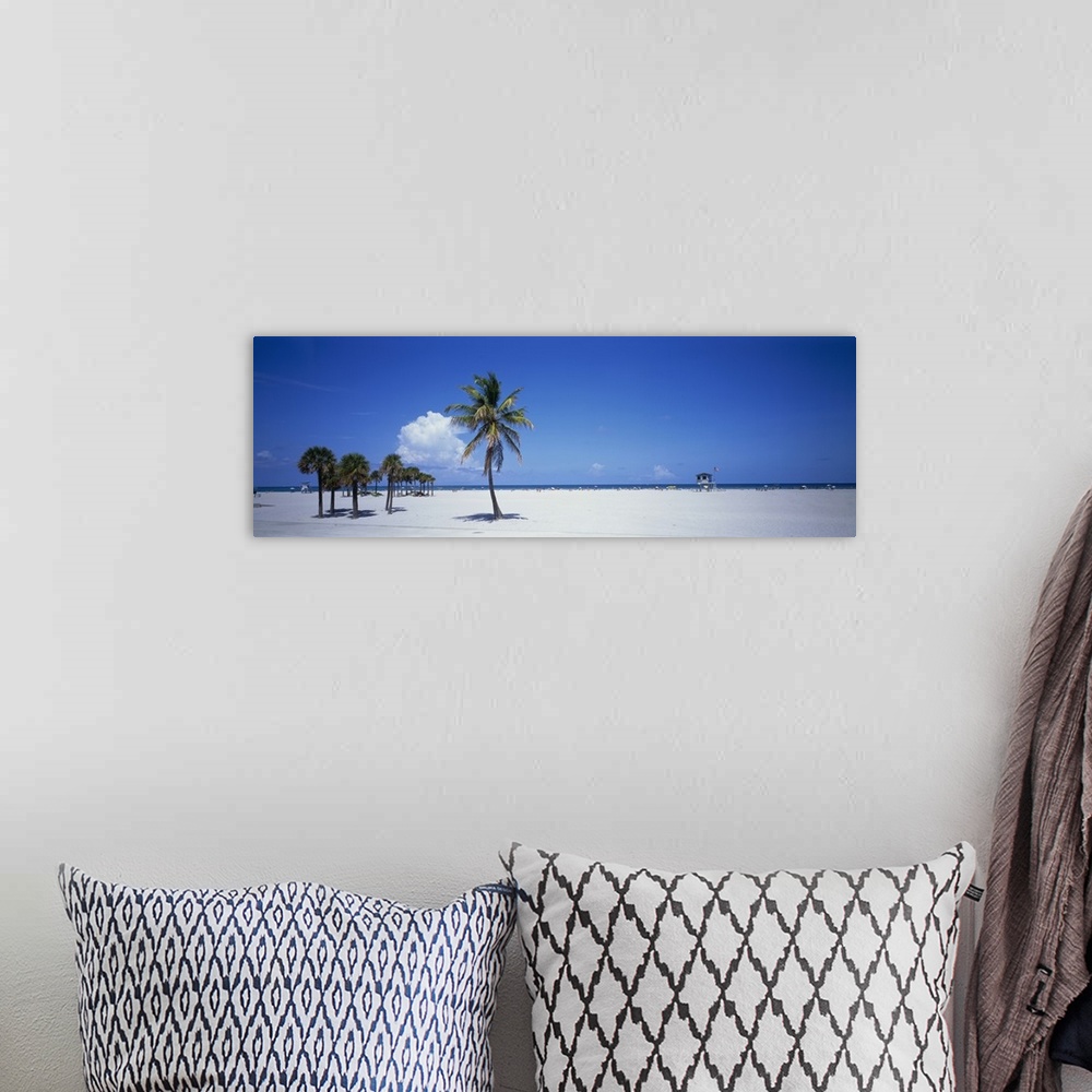 A bohemian room featuring Panoramic photograph of beach with palm trees.