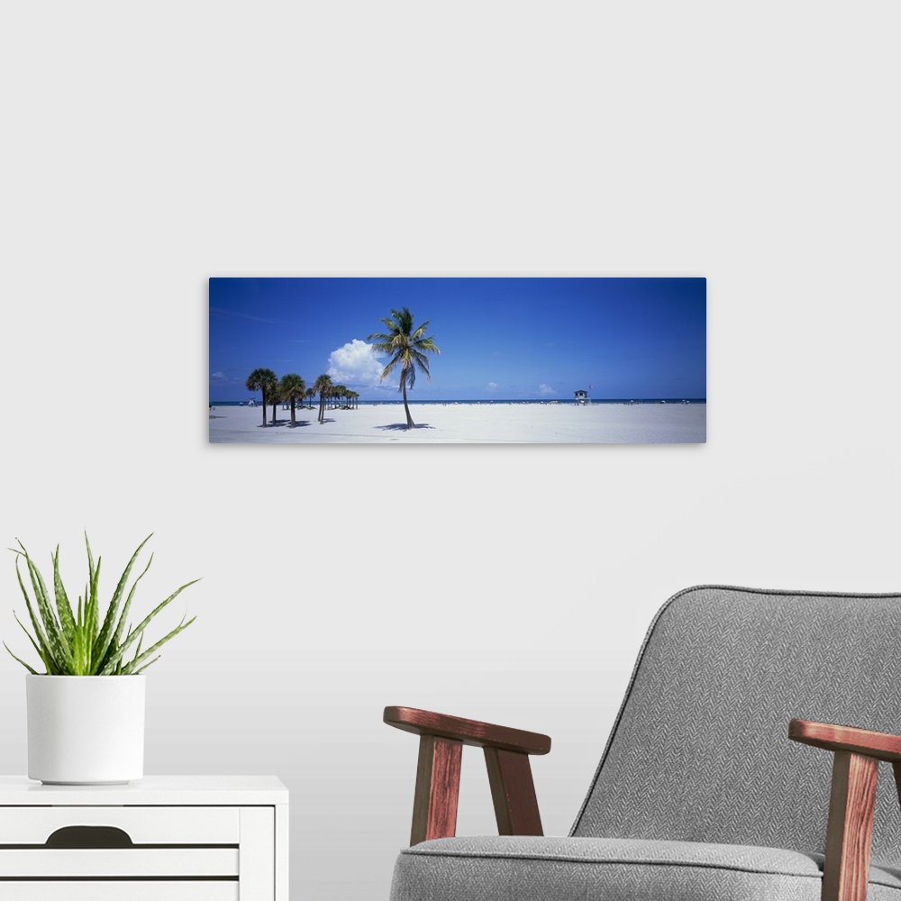 A modern room featuring Panoramic photograph of beach with palm trees.