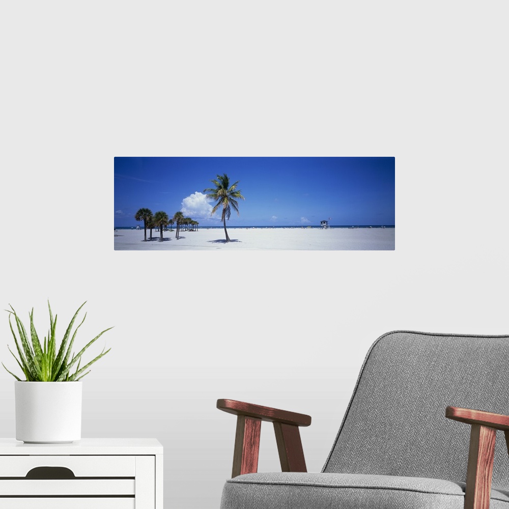 A modern room featuring Panoramic photograph of beach with palm trees.